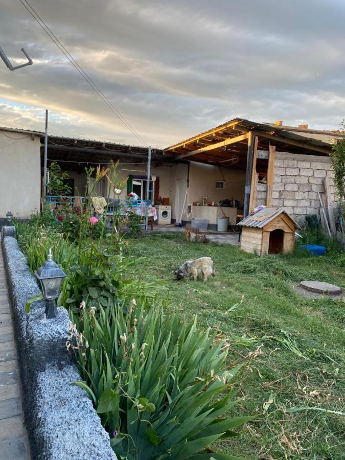 Mamuka'S Guesthouse Udabno Exterior photo